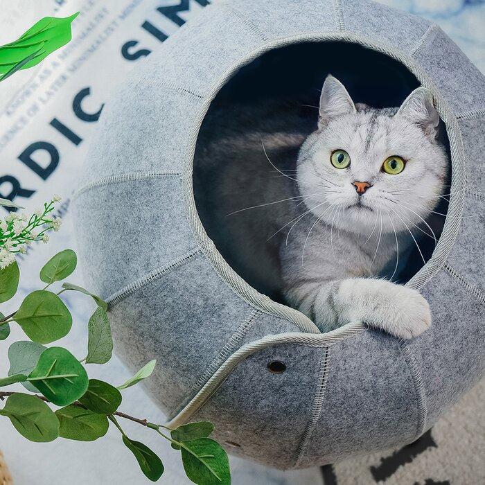 Cat Tunnel Bed Foldable Indoor Cat Cave