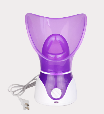 Hot-selling ion hot spray steamer Home steam beauty instrument BENNYS