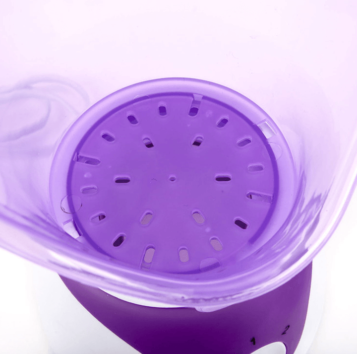 Hot-selling ion hot spray steamer Home steam beauty instrument BENNYS