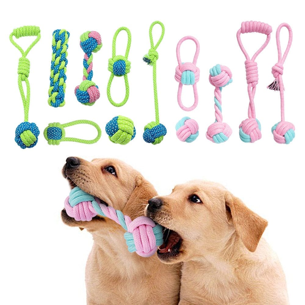 Interactive Cotton Rope Dog Toys BENNYS