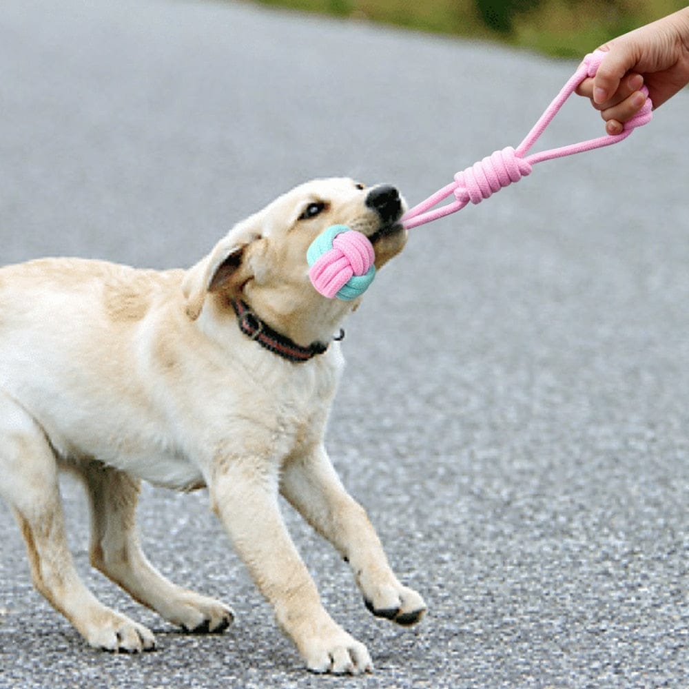 Interactive Cotton Rope Dog Toys BENNYS