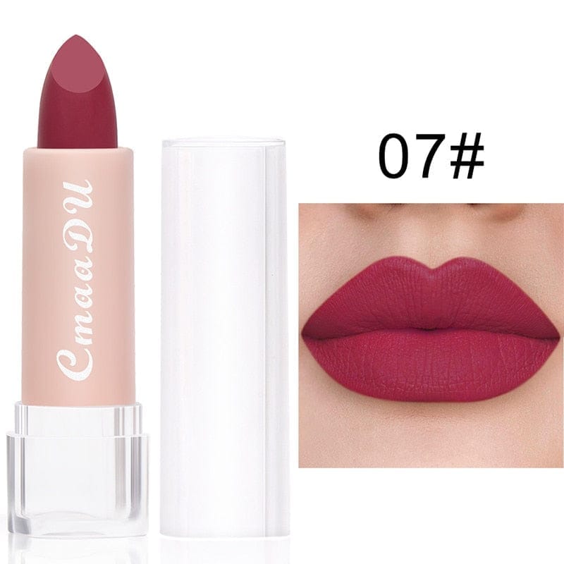 Matte Lipstick Waterproof Long Lasting Lipstick BENNYS