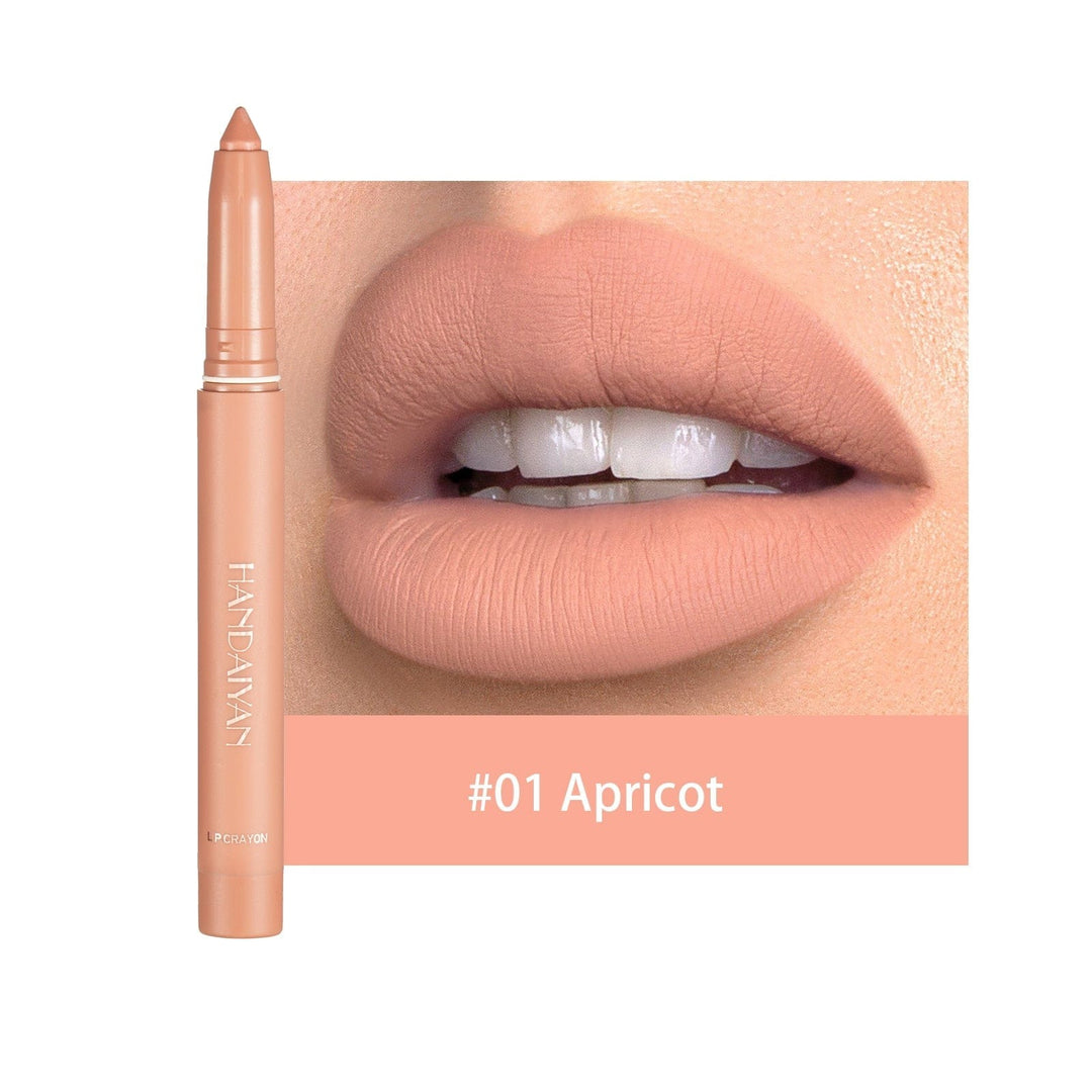 Matte Nude Lipstick Lip Liner 2 in 1 Long Wearing Waterproof Lip Ink BENNYS