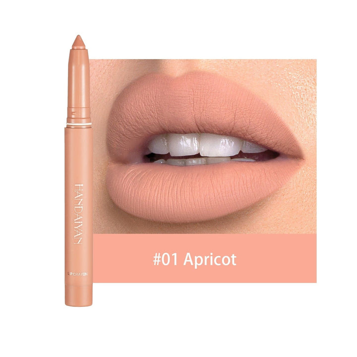 Matte Nude Lipstick Lip Liner 2 in 1 Long Wearing Waterproof Lip Ink BENNYS