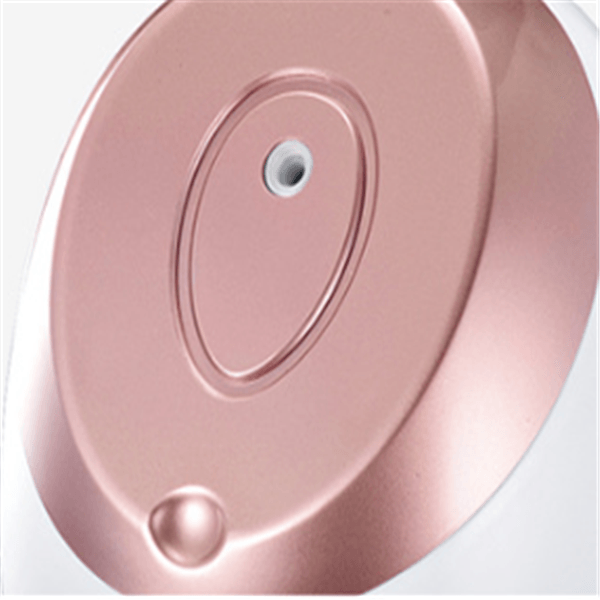 Nano Ionic Facial Steamer BENNYS