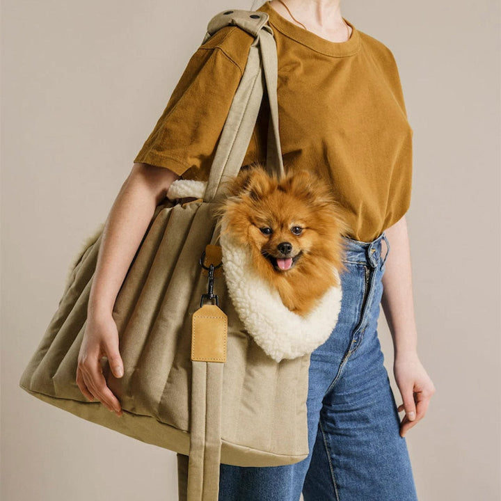 Pet Dog Cat Bag Carrier Light Waterproof Dog Out Portable Handbag Pet Accessories Fashion Dog Bag BENNYS