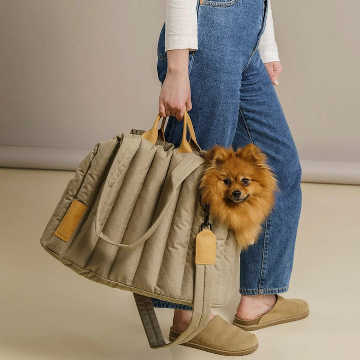 Pet Dog Cat Bag Carrier Light Waterproof Dog Out Portable Handbag Pet Accessories Fashion Dog Bag BENNYS
