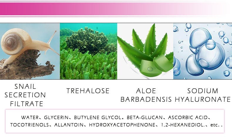 RtopR Vitamin C Snail Serum Cross-border Model RtopR011 BENNYS