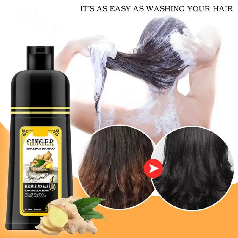 500ml Herbal Hair Dye Black Hair Shampoo