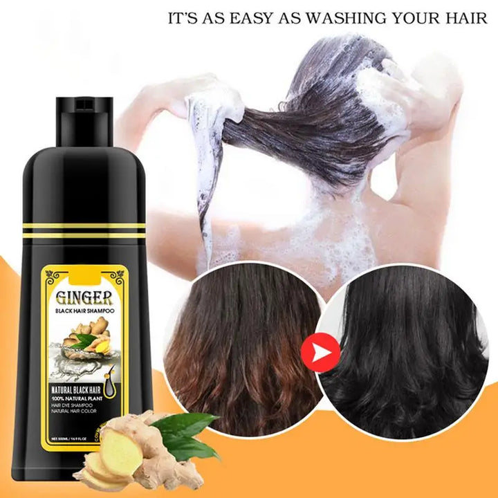 500ml Herbal Hair Dye Black Hair Shampoo