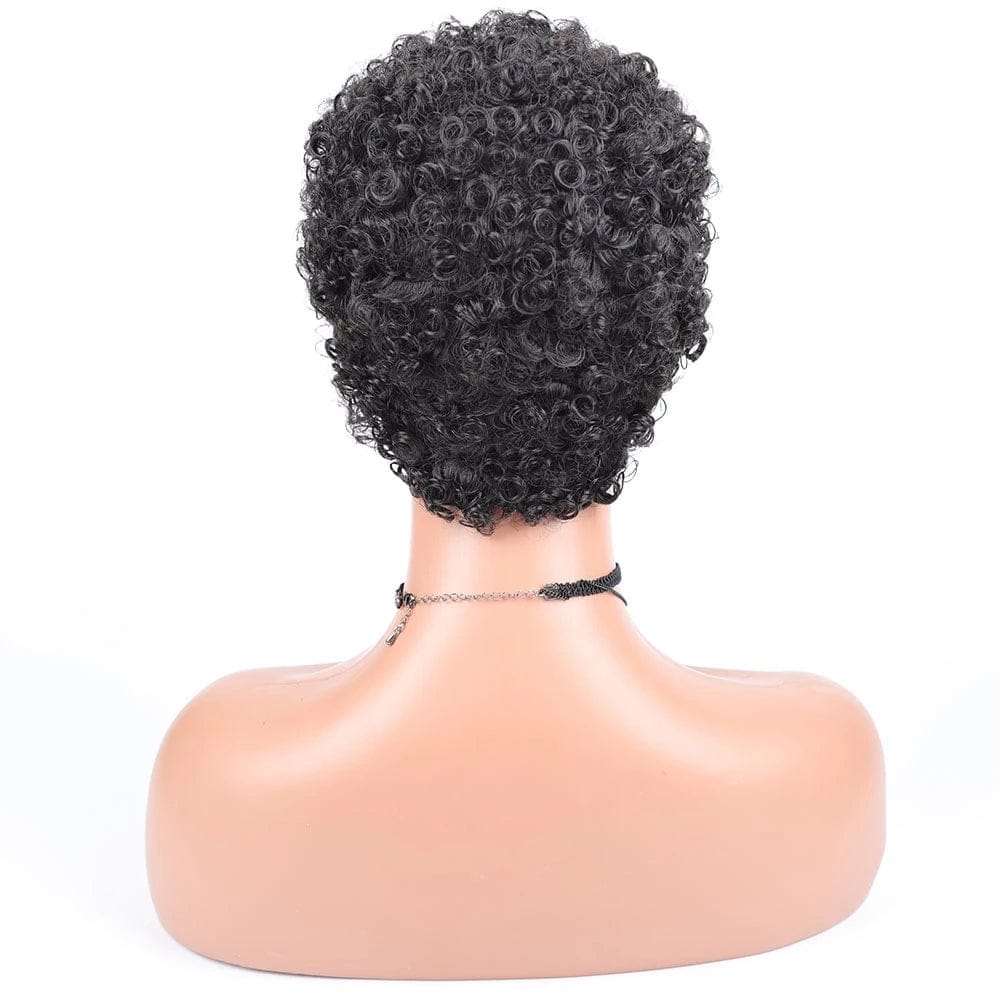 Short Afro Curly Synthetic Hair Wigs for Women BENNYS