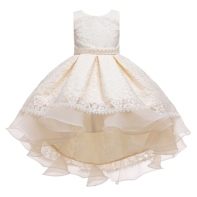 Sleeveless Princess Trailing Girl in Pink Dress Christmas Party Kids Costume BENNYS