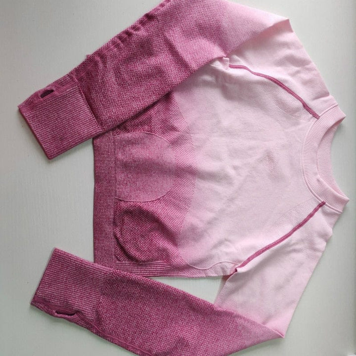 Women's Ombre Cropped Seamless Long Sleeve Top Crop BENNYS