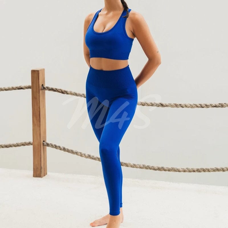 Seamless Yoga Set Women Gym Set 2 Piece Sport Set – Bennys Beauty World
