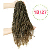 22inches Pre-looped Fluffy Crochet Braid Hair Ombre Synthetic Crochet Hair Bennys Beauty World