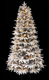 5Ft Snowy Forest Spruce PE Real Feel Artificial Pre-Lit Flocked Christmas Tree (Pre-Lit, 5') BENNYS 