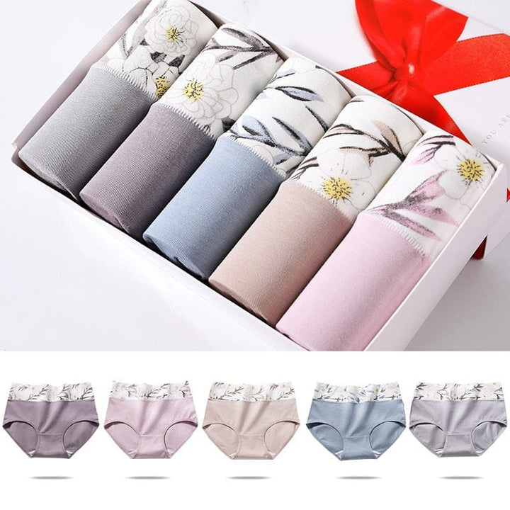 5Pcs/lot Women Panties High Waist Breathable Soft Cotton Underwear Bennys Beauty World