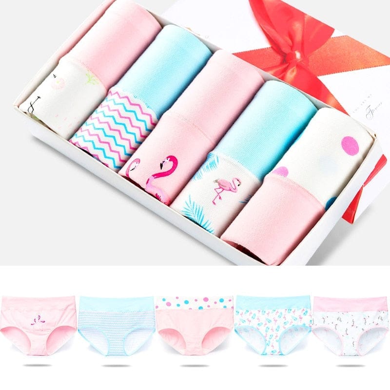 5Pcs/lot Women Panties High Waist Breathable Soft Cotton Underwear Bennys Beauty World