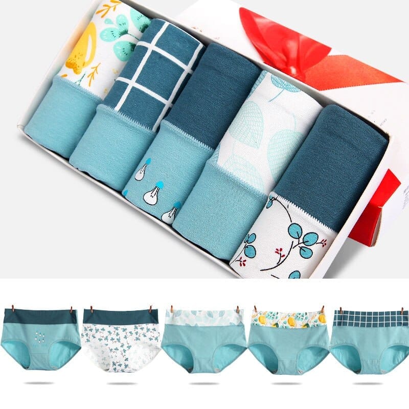 5Pcs/lot Women Panties High Waist Breathable Soft Cotton Underwear Bennys Beauty World