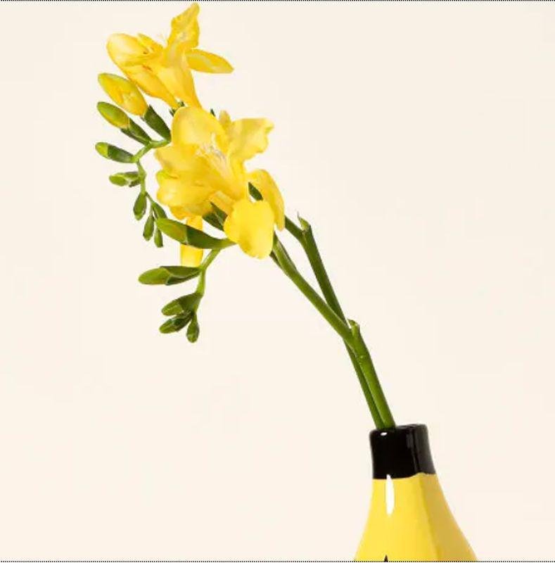 Banana Vase Flower Decor