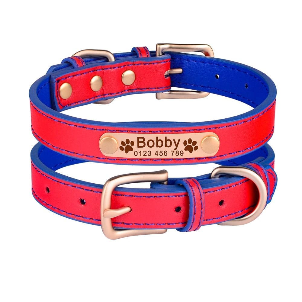 Dog hotsell collar world