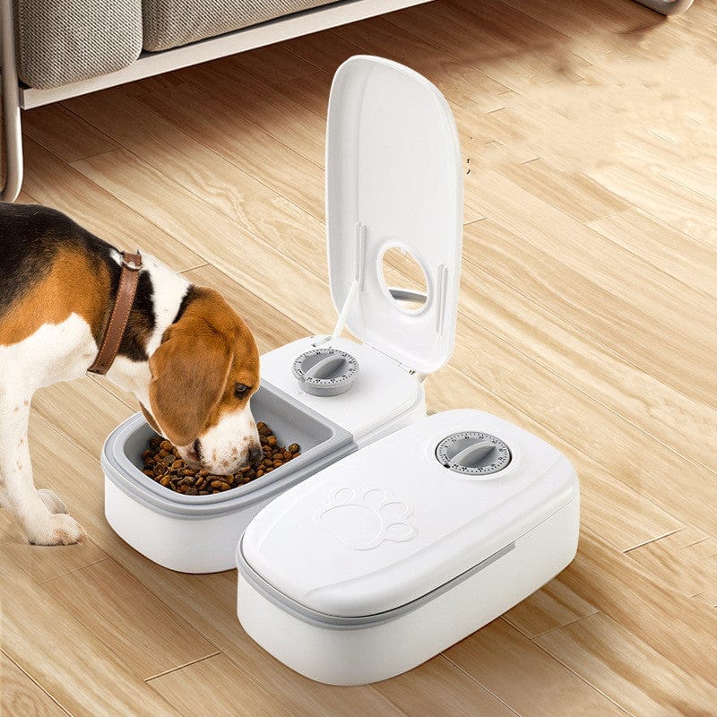 Pet best sale feeder smart