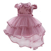 Baby Baptism Dresses  Lace Princess Dress 1st Year Birthday Dress Bennys Beauty World