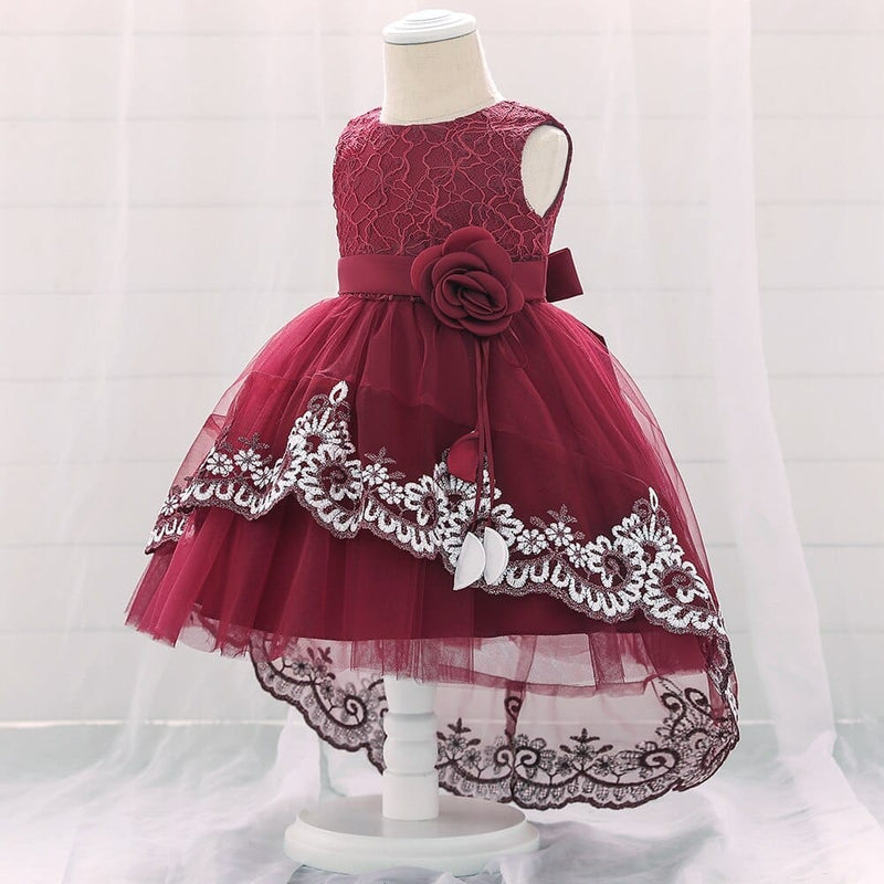Baby Girls Lace Embroidered Princess Christening Party Dress Bennys Beauty World