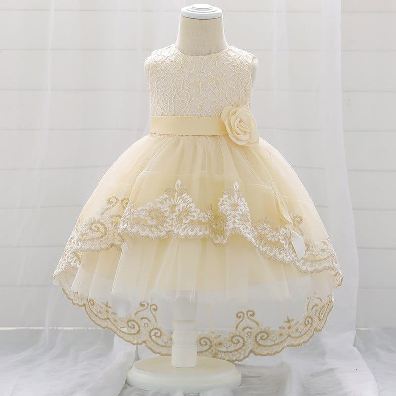 Baby Girls Lace Embroidered Princess Christening Party Dress Bennys Beauty World