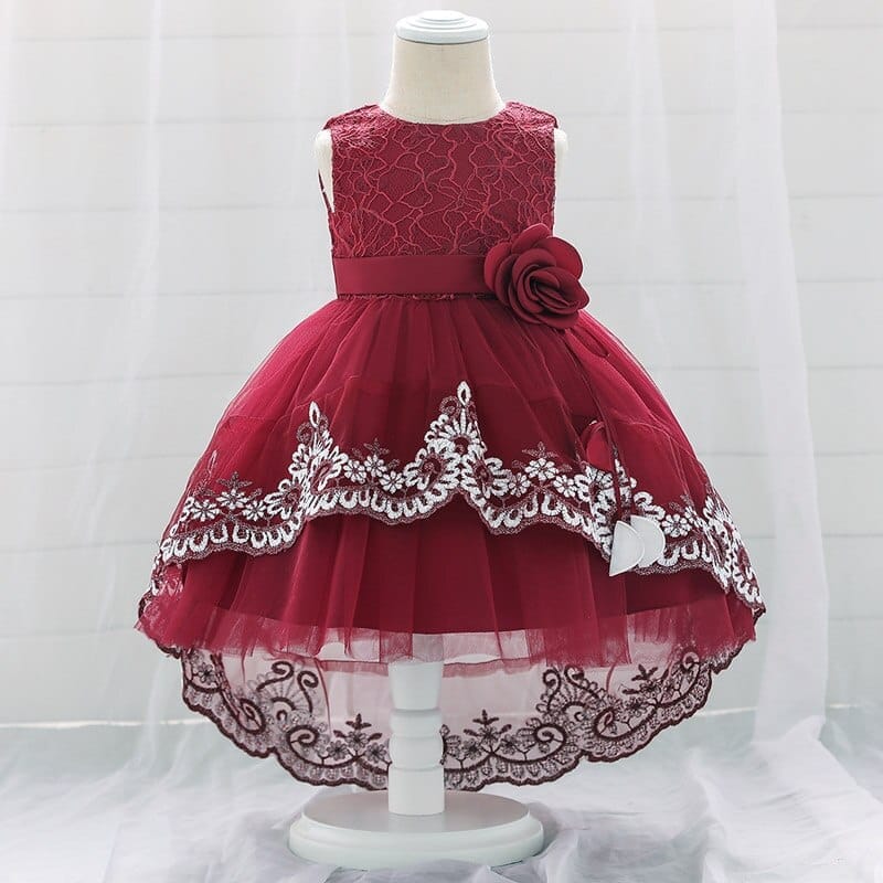 Baby Girls Lace Embroidered Princess Christening Party Dress Bennys Beauty World