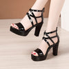 Big Size 32-43 Block Heel Platform Gladiator Sandals For Women Bennys Beauty World
