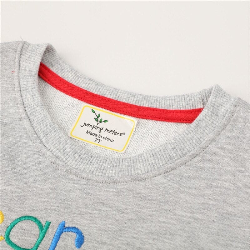 Boys Girls Dinosaurs Embroidery Kids Sweatshirts Bennys Beauty World