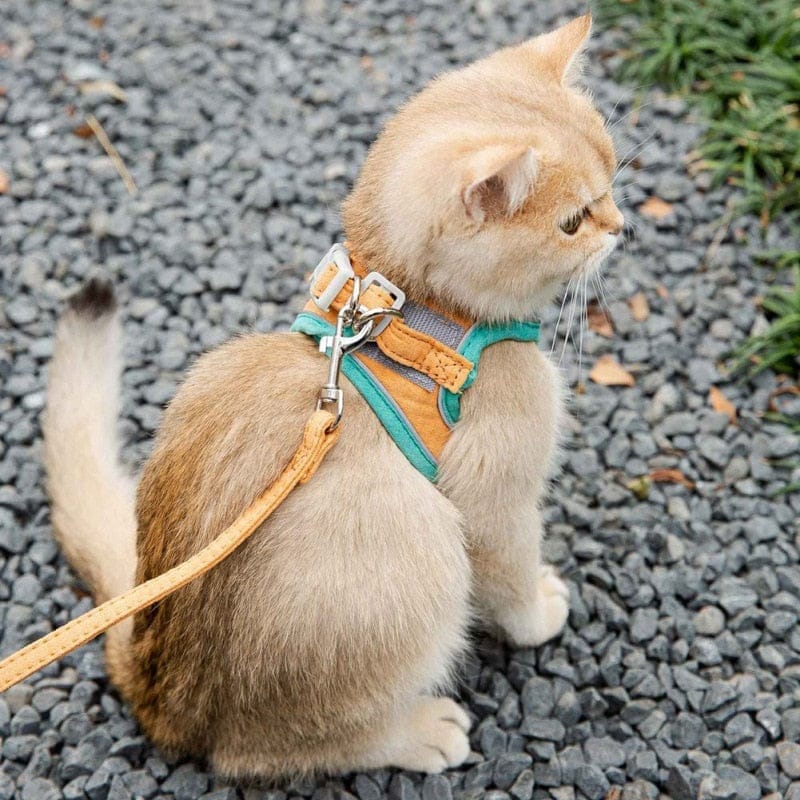 Cat Harness Leash Set for Pet Bennys Beauty World