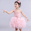 Children's dress children's dress ins tutu skirt children's day costumes new princess dress Bennys Beauty World