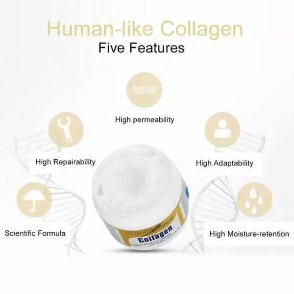 Collagen Hydrating Anti-aging Cream for Face Bennys Beauty World