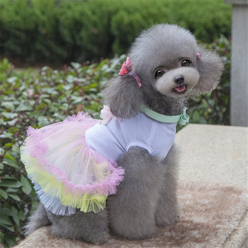 Cupcake Tutu Dress Bennys Beauty World