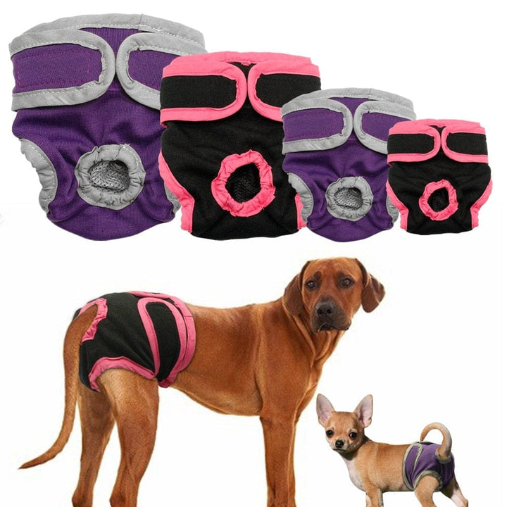 Dog Shorts Puppy Physiological Pants Diaper Pet Underwear Bennys Beauty World