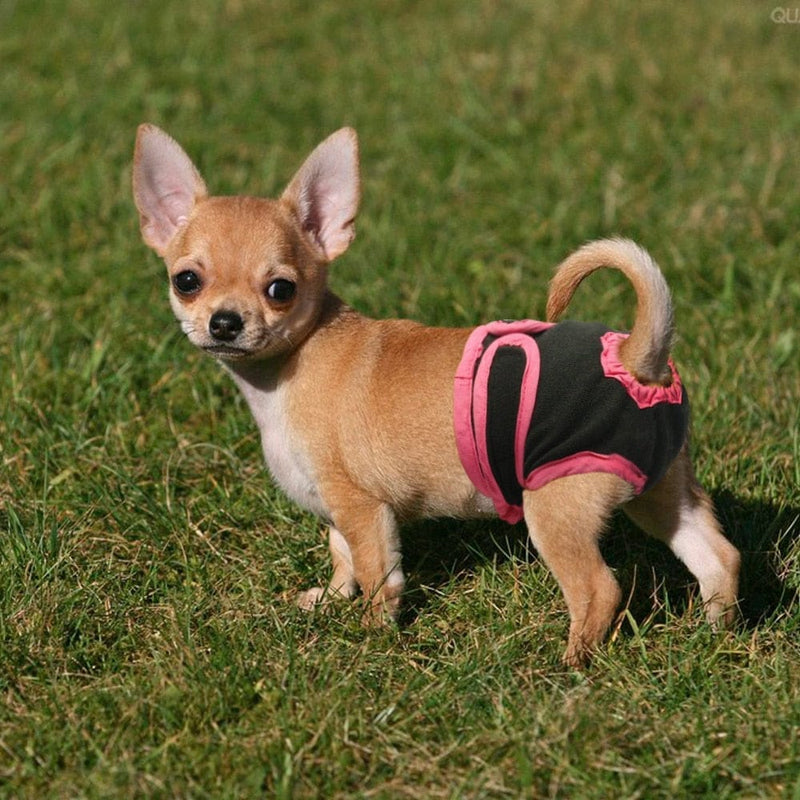 Dog Shorts Puppy Physiological Pants Diaper Pet Underwear Bennys Beauty World
