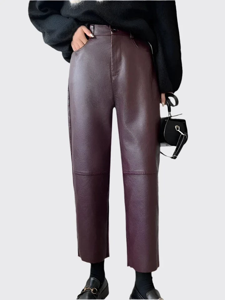 Fall and Winter PU Leather Trousers Pants For Women Bennys Beauty World