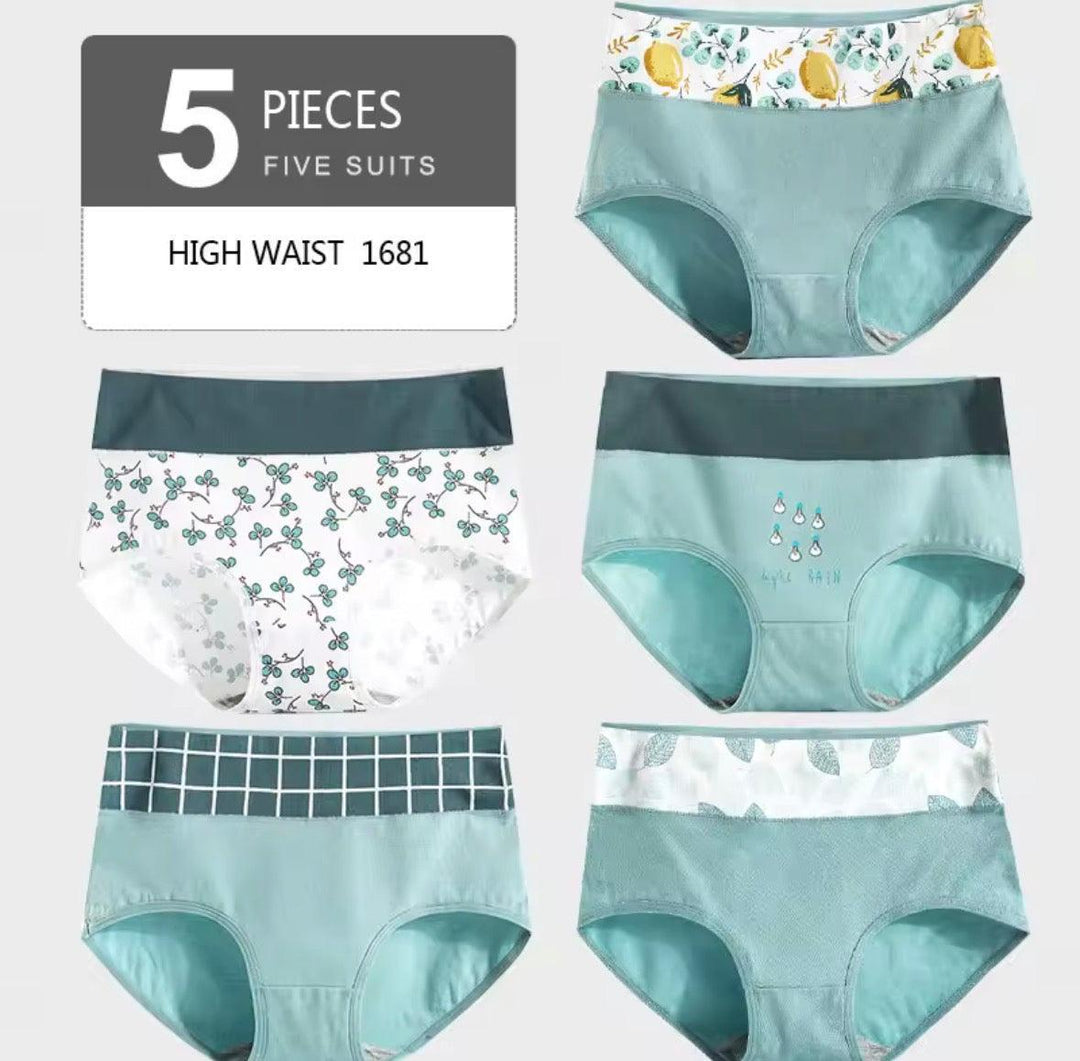 5Pcs/lot Women Panties High Waist Breathable Soft Cotton Underwear-Lingerie-Bennys Beauty World
