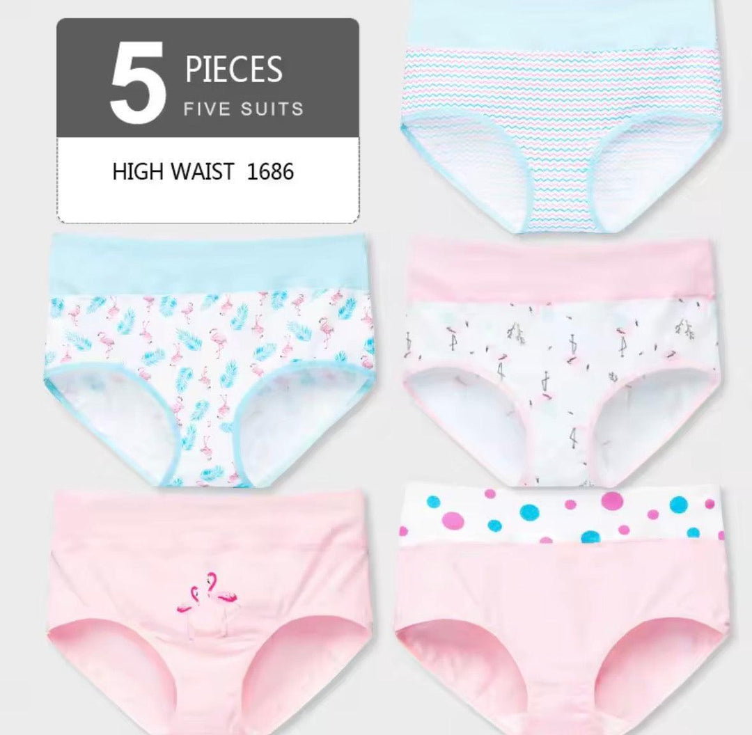 5Pcs/lot Women Panties High Waist Breathable Soft Cotton Underwear-Lingerie-Bennys Beauty World