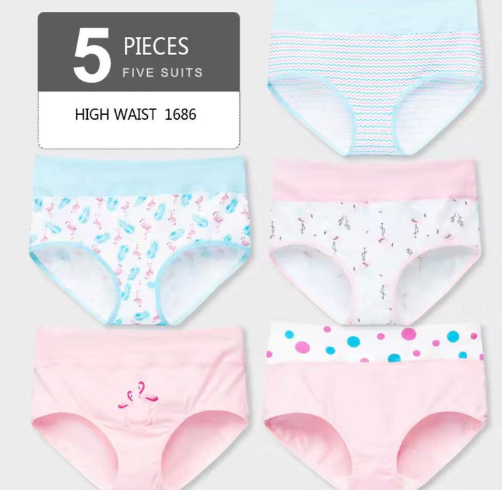 5Pcs/lot Women Panties High Waist Breathable Soft Cotton Underwear-Lingerie-Bennys Beauty World