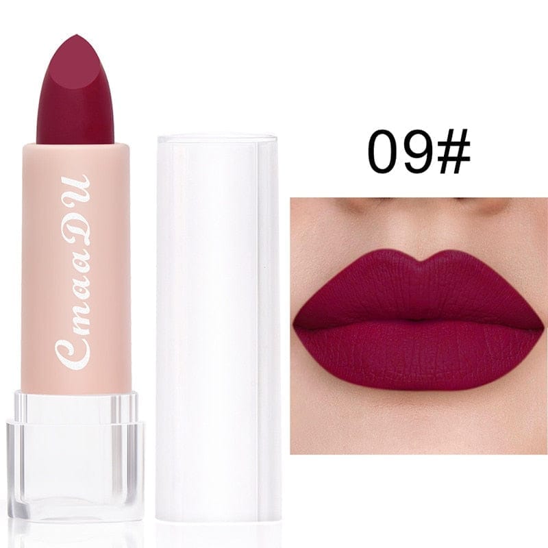 Matte Lipstick Waterproof Long Lasting Lipstick BENNYS 