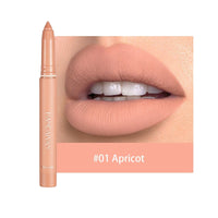 Matte Nude Lipstick Lip Liner 2 in 1 Long Wearing Waterproof Lip Ink BENNYS 