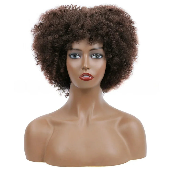 Afro Kinky Curly Wigs With Bangs Synthetic Wigs