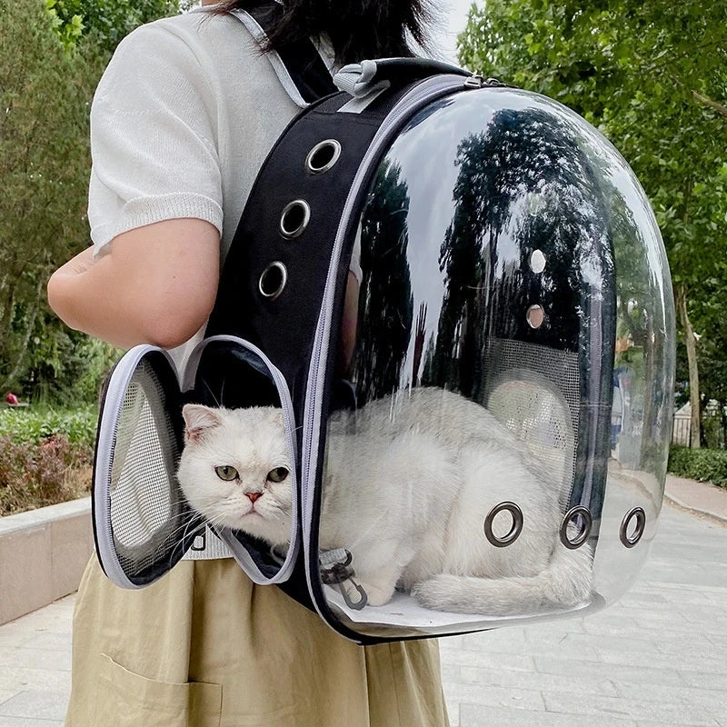 Breathable Transparent Pet Travel Bag for Pets
