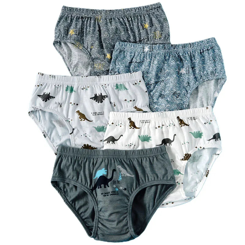 Boys Cotton Cartoon Briefs Multipack | Dinosaur &amp; Truck Print