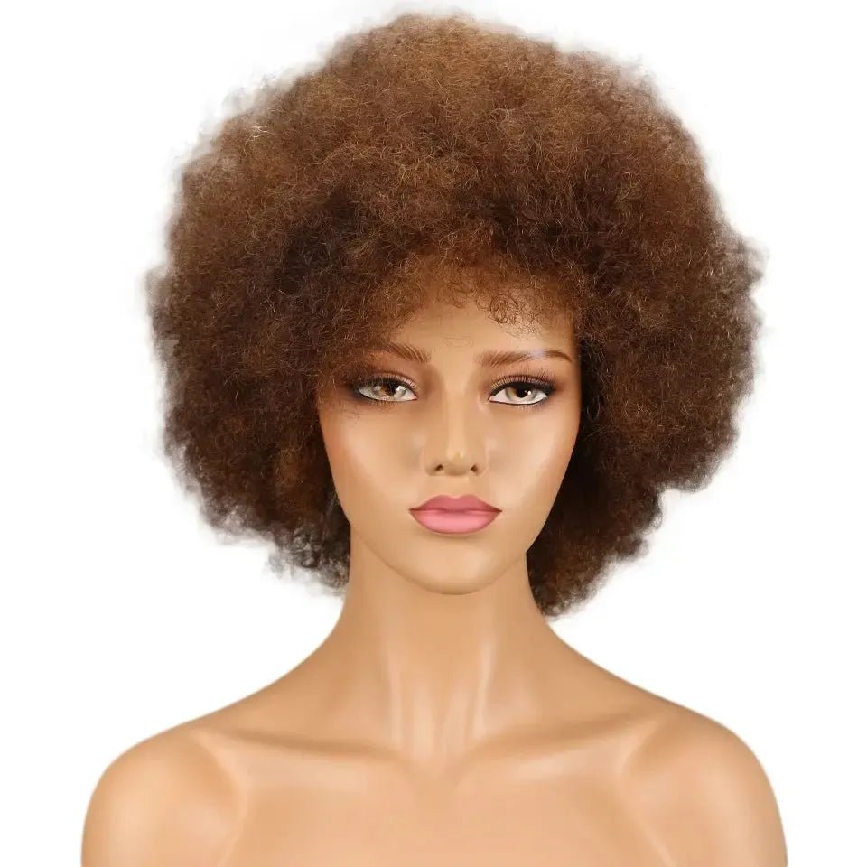 Brazilian Remy Afro Kinky Curly Bob Wig – 200% Density - Bennys Beauty World