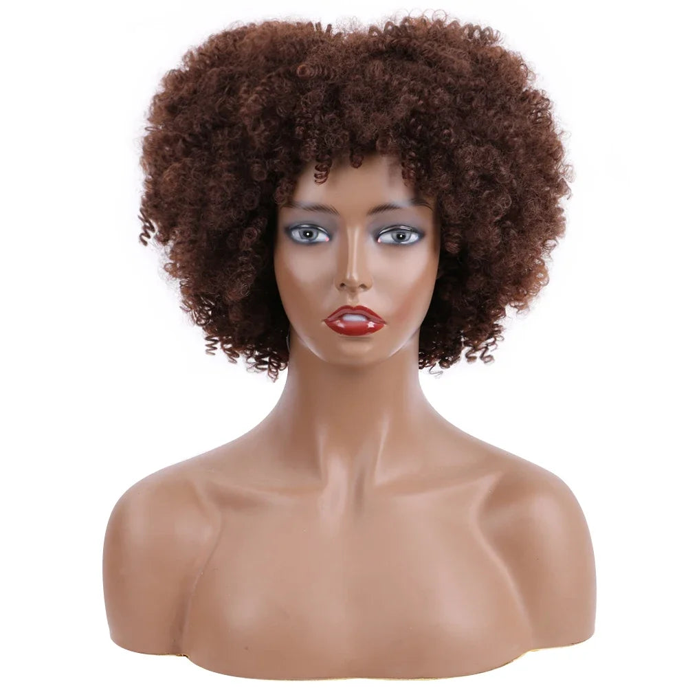 Afro Kinky Curly Wigs With Bangs Synthetic Wigs