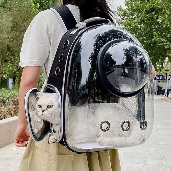Breathable Transparent Pet Travel Bag for Pets